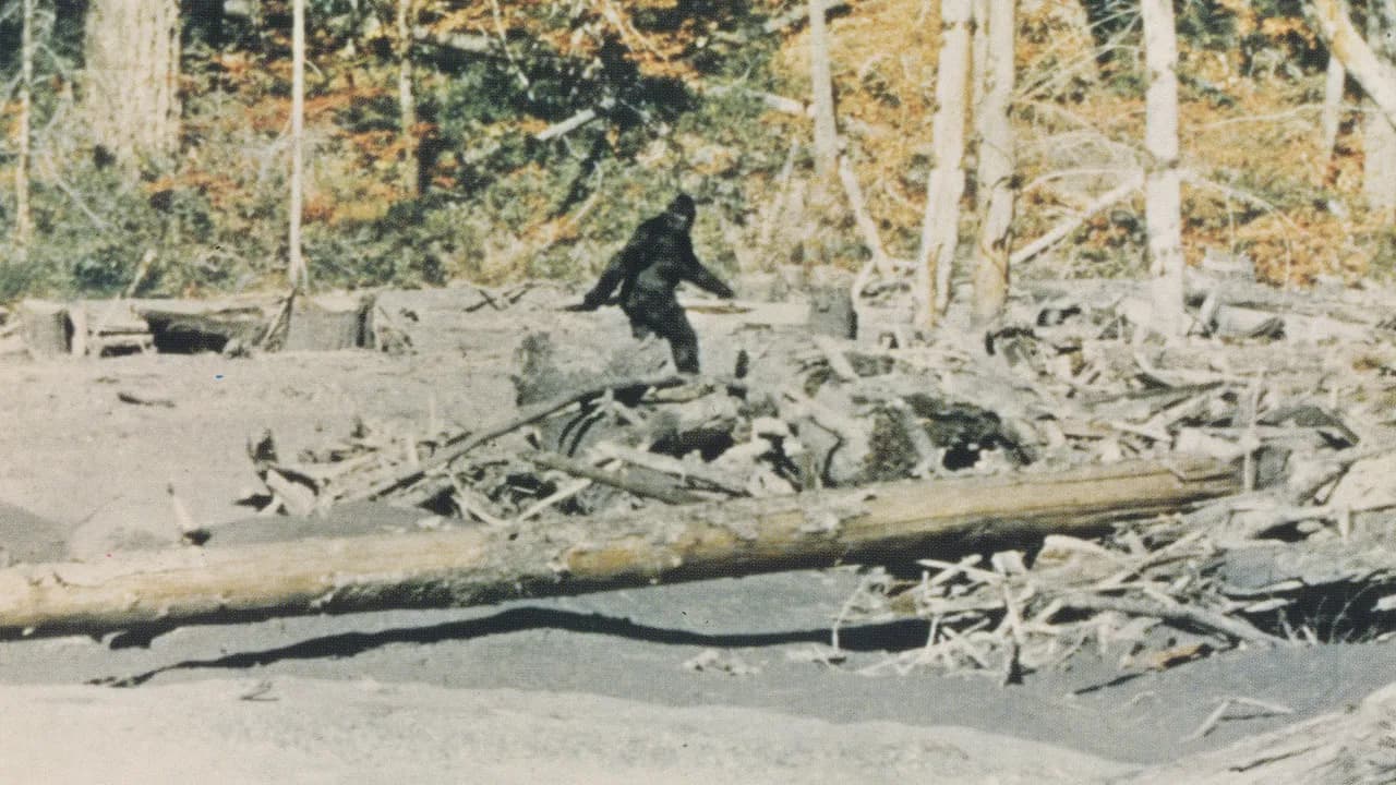 ‘Capturing Bigfoot’ Review: An Astounding Documentary Uncovers the Truth - Reviews & Analysis feature image
